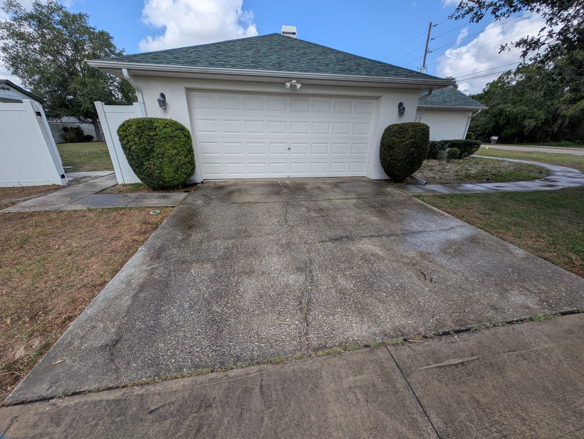 Driveway before cleaning — heavy algae and black streaking